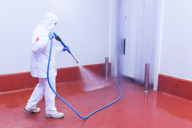 Paint Preparation in West Carthage, NY